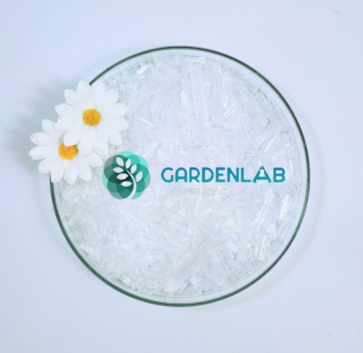 Menthol Lab Nguyên liệu & Sản phẩm – GardenLab.Vn